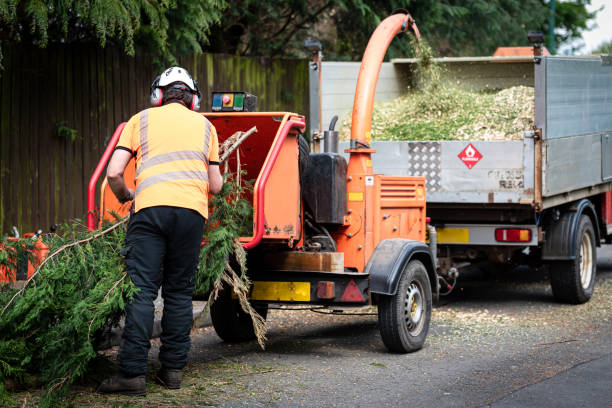 Best Tree Removal for Businesses  in USA